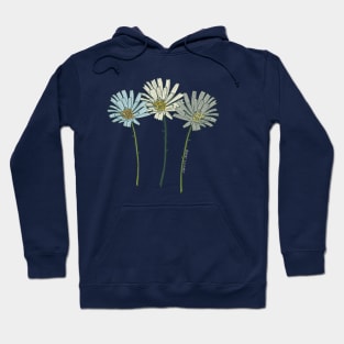 Desert Chicory Wildflowers Hoodie